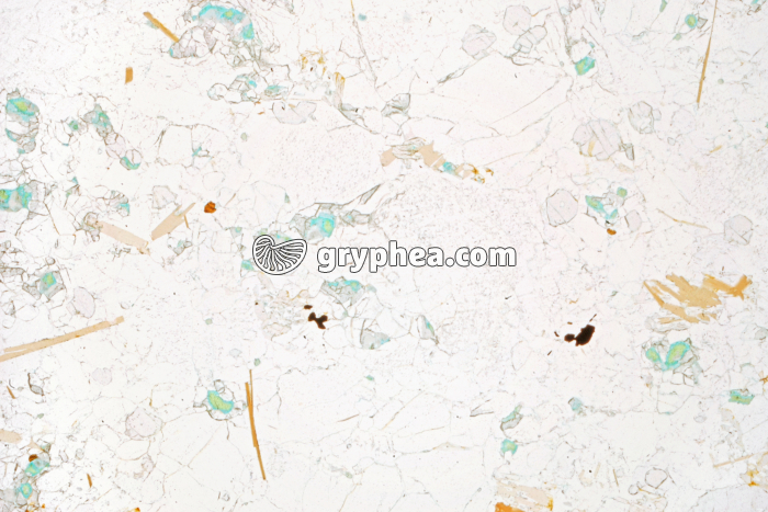 Feldspaths plagioclases LPNA x10 - gryphea.com